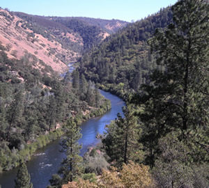 River Trip, American River Music Festival