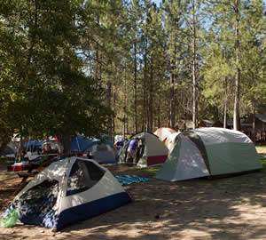 what to bring and what not to bring to the american river music festival in coloma, california