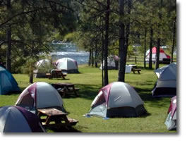Camping for the American River Music Festival, Lotus, CA 