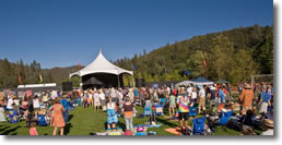 American River Music Festival